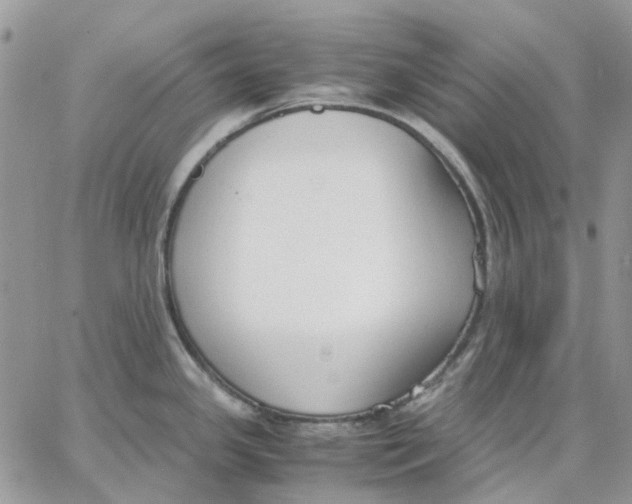 X0000062851341200602031617