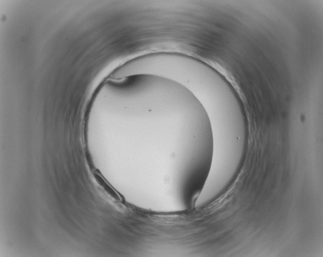 X0000062851342200602031617