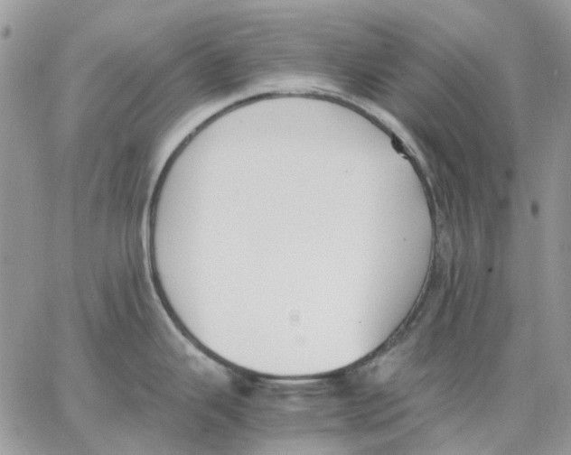 X0000062851343200602031617