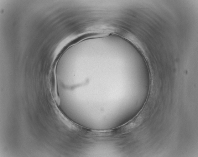 X0000062851344200602031617