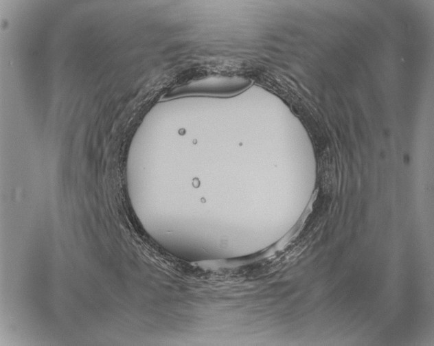 X0000062851345200602031616