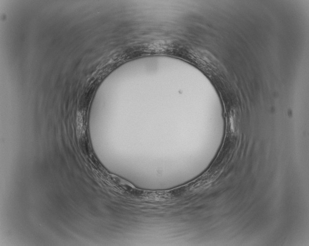 X0000062851347200602031616