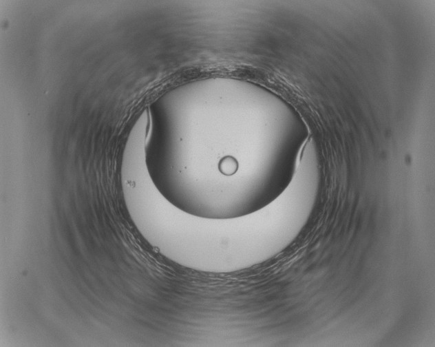 X0000062851348200602031616