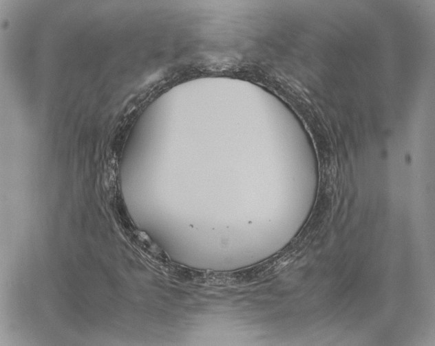 X0000062851349200602031616