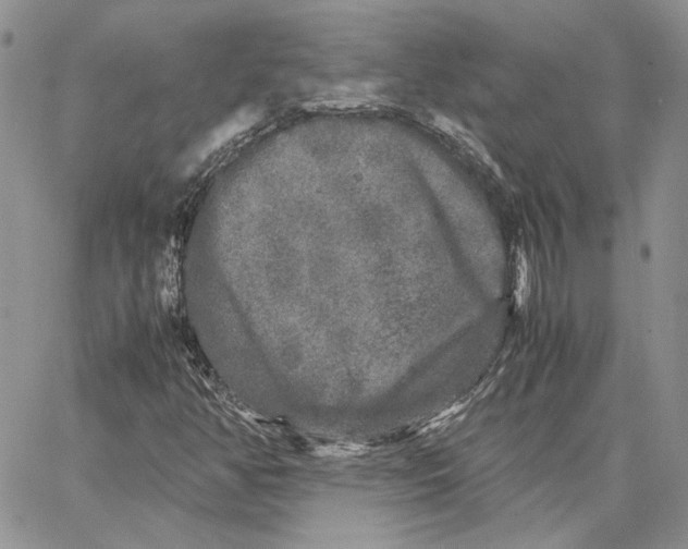 X0000062851350200602031616