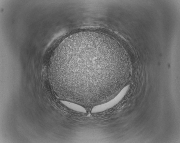 X0000062851351200602031616