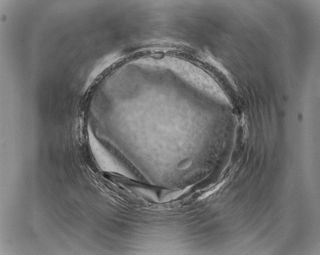 X0000062851352200602031616