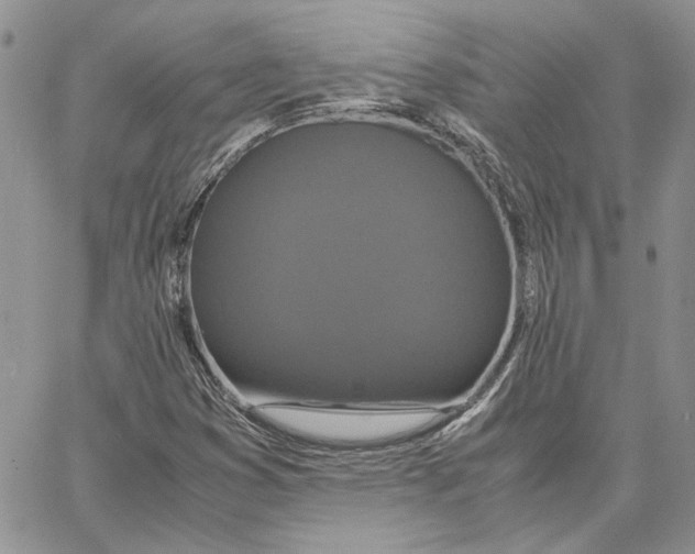 X0000062851353200602031616