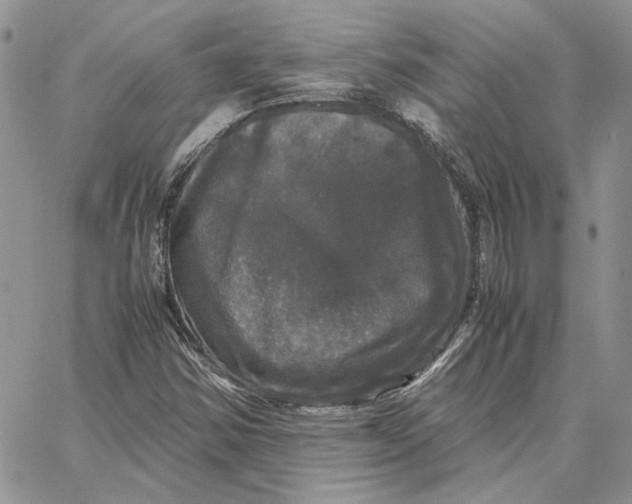 X0000062851354200602031616