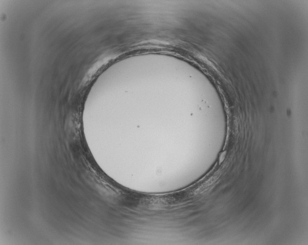 X0000062851355200602031616