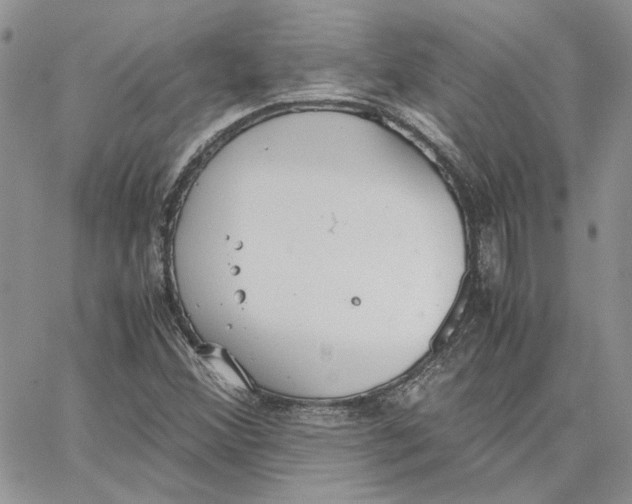 X0000062851356200602031616