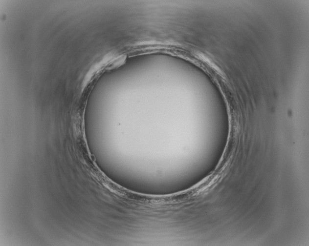 X0000062851357200602031616