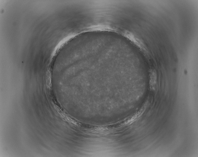 X0000062851358200602031616