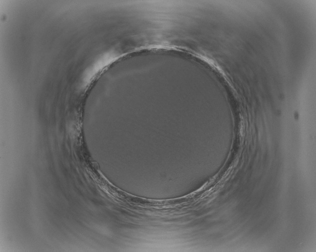 X0000062851359200602031616