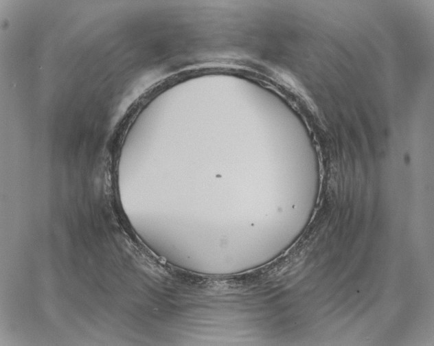 X0000062851360200602031616