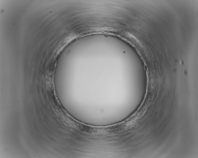 X0000062851361200602031616