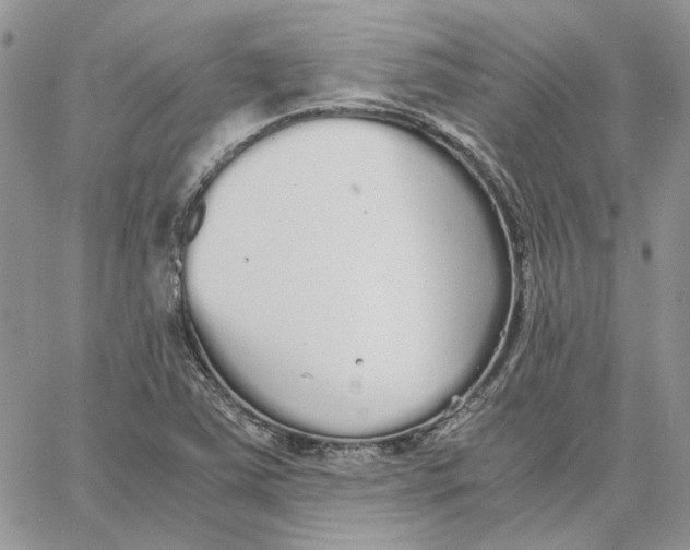 X0000062851363200602031616