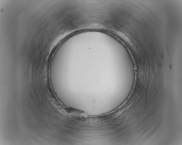 X0000062851364200602031616