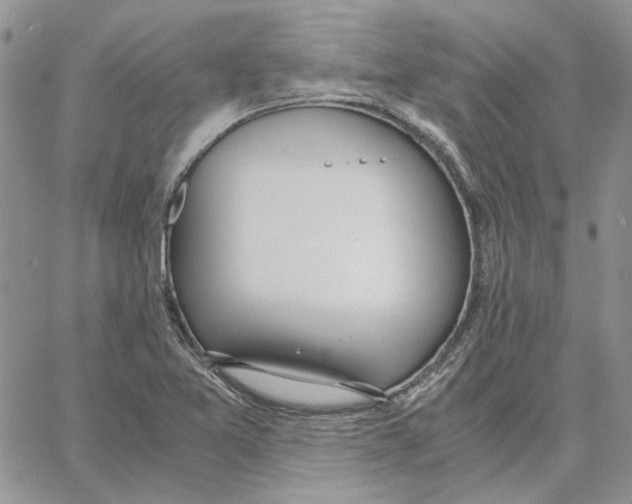 X0000062851365200602031616