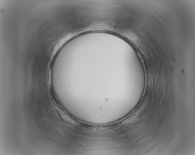 X0000062851366200602031616