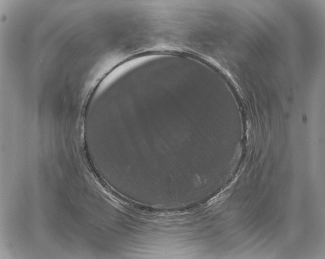 X0000062851367200602031616