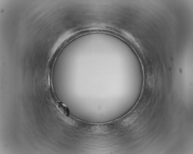 X0000062851368200602031616