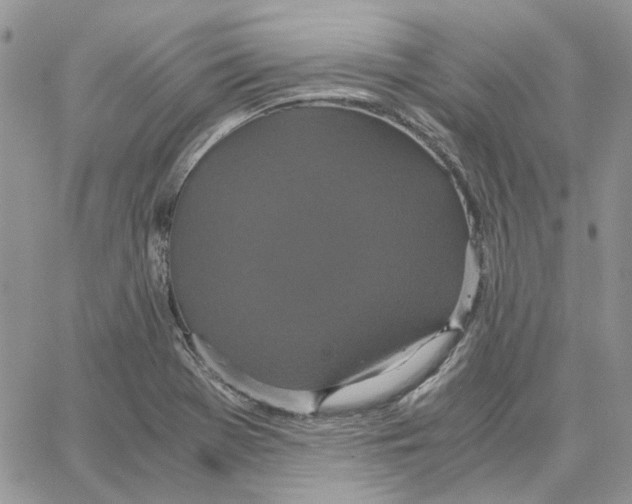 X0000062851369200602031616