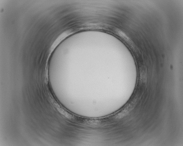 X0000062851370200602031616