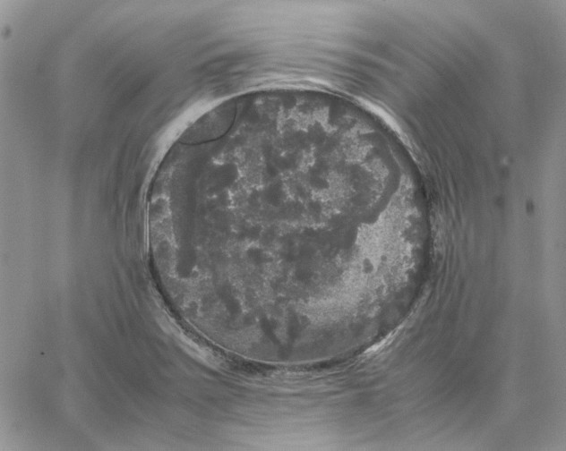 X0000062851371200602031616