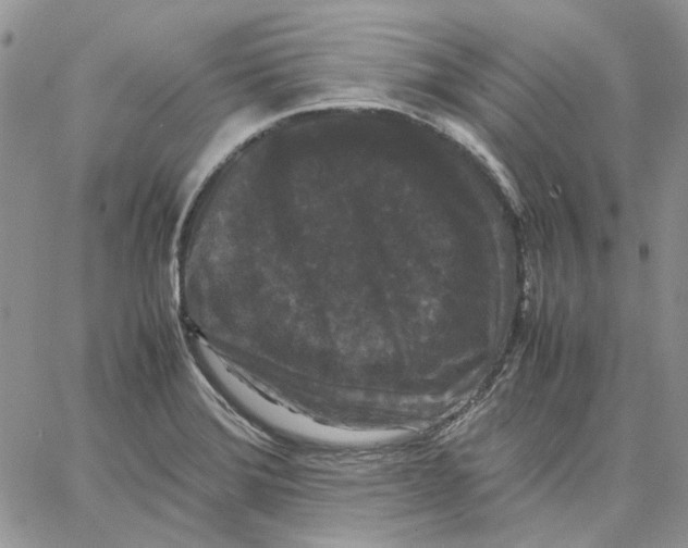 X0000062851372200602031616