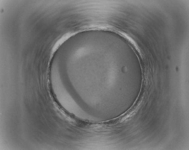 X0000062851373200602031616