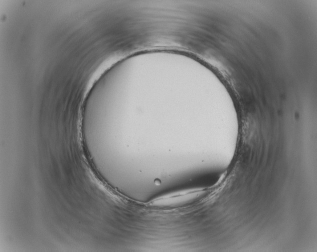 X0000062851374200602031616