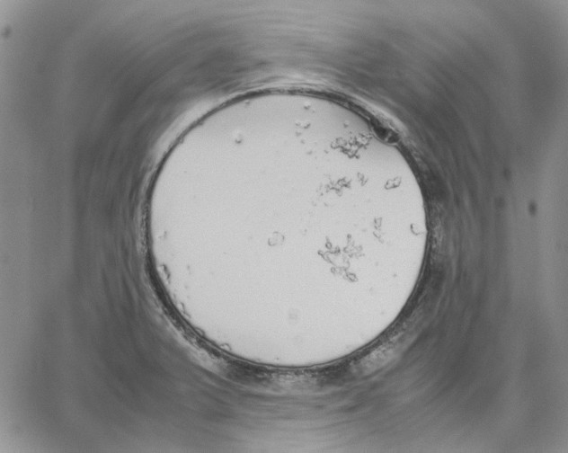 X0000062851375200602031616