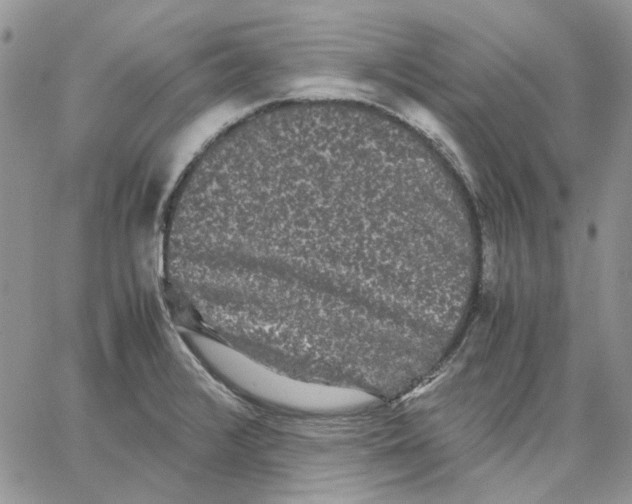 X0000062851376200602031616