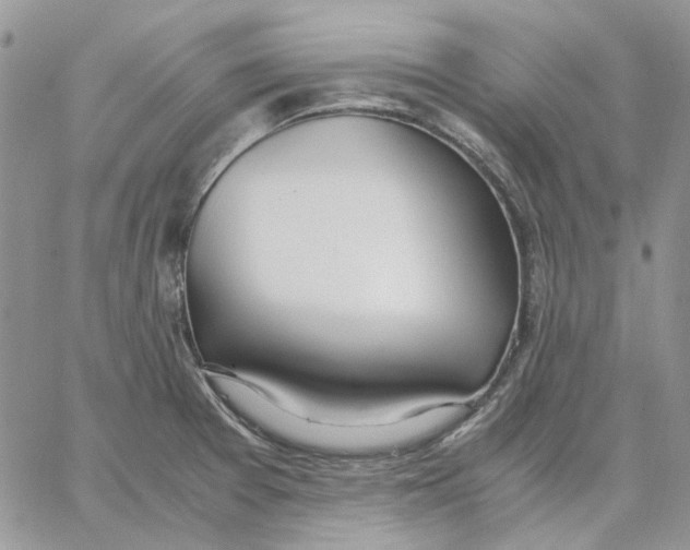 X0000062851377200602031616