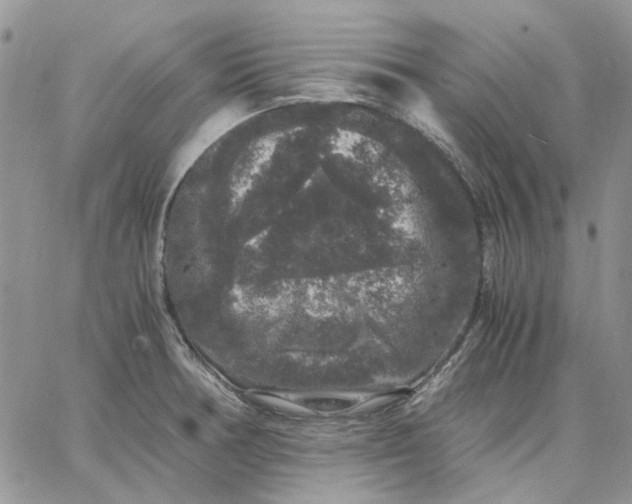 X0000062851378200602031616