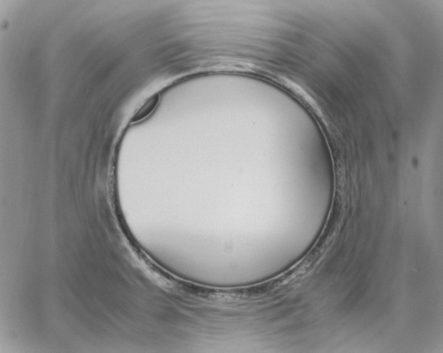 X0000062851379200602031616