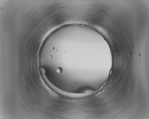 X0000062851380200602031616