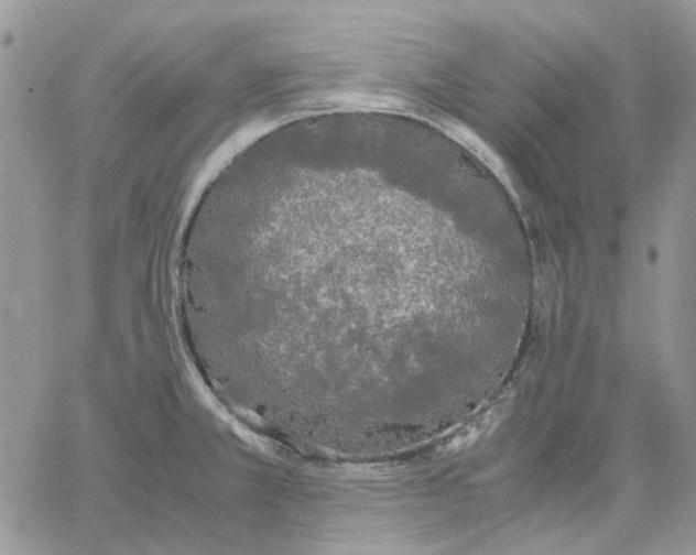 X0000062851381200602031616