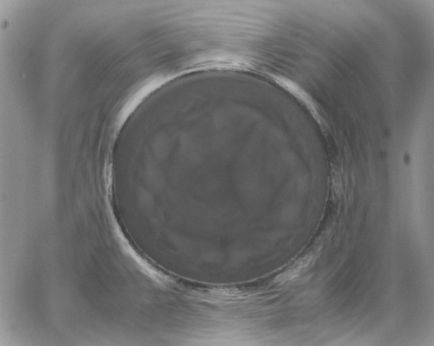 X0000062851383200602031616