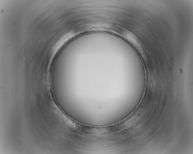 X0000062851384200602031616