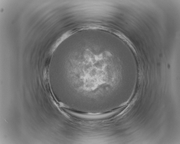 X0000062851385200602031616