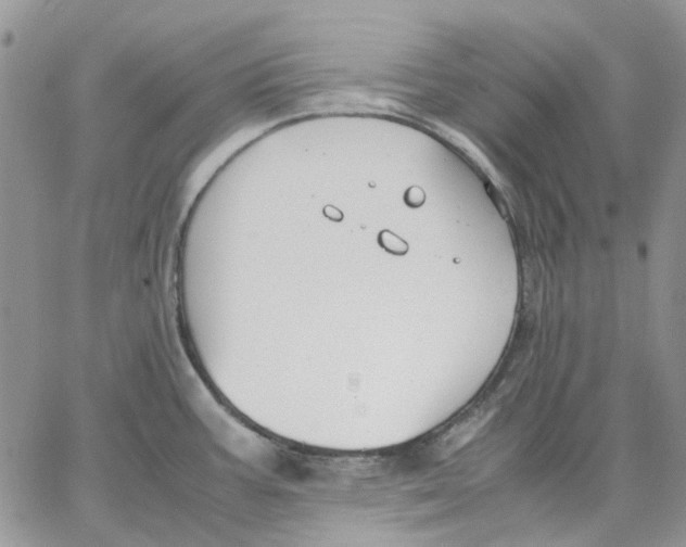 X0000062851387200602031616