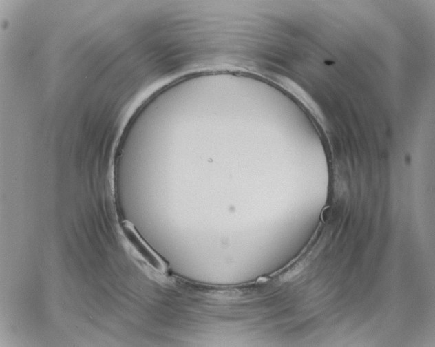 X0000062851388200602031616