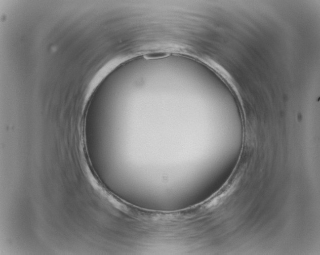 X0000062851389200602031616