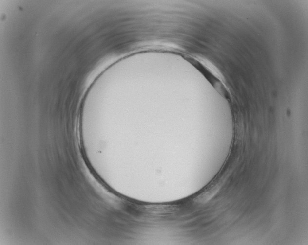 X0000062851391200602031616