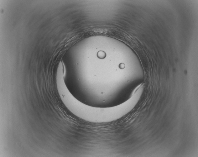 X0000062851394200602031615