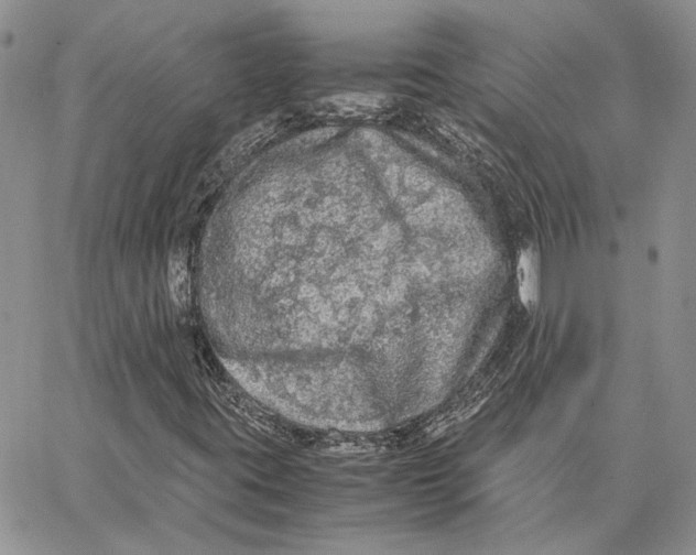 X0000062851395200602031615