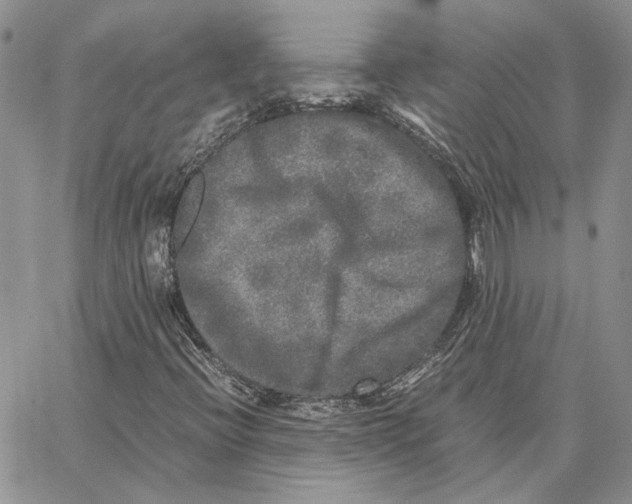 X0000062851396200602031615