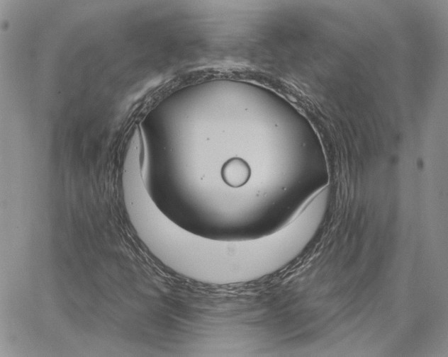 X0000062851398200602031615